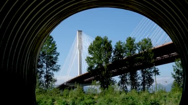 Γέφυρα Πορτ Μαν πάνω από τον ποταμό Φρέιζερ. Sunny Summer Surrey, Βανκούβερ, Βρετανική Κολομβία, Καναδάς 2023 - Πλάνα, βίντεο