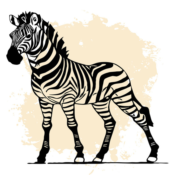 Fekete zebra fehér háttérrel. Állatvonal művészet. Logo design, grafikához. Nyomtatás pólókhoz, minta tetoválásokhoz.  - Fotó, kép