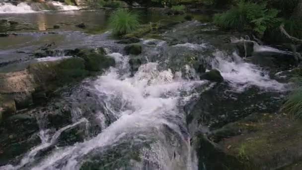 Torrent Over Mossy Rocks On Anllns River στο Refugio de Verdes, A Corua, Ισπανία. Στατική βολή - Πλάνα, βίντεο