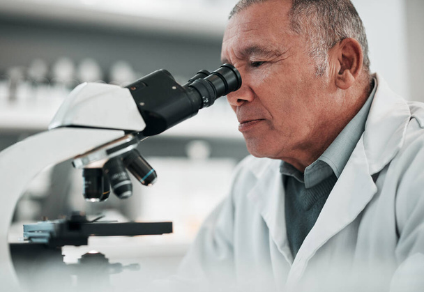 Microscope, senior man or chemistry with research, medical or data analysis with pathology. Mature person, scientist or researcher with laboratory equipment, check sample or analytics with healthcare. - Photo, Image