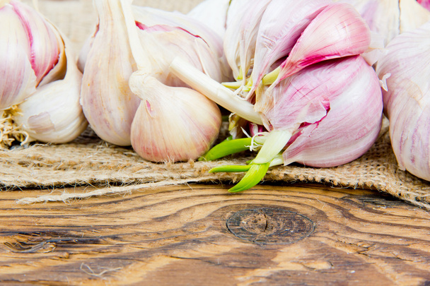 Garlic - Фото, зображення