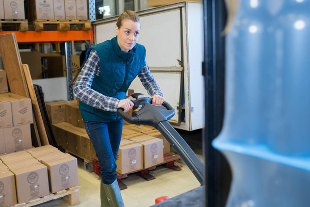 worker posing with trolley in a warehouse - Фото, зображення