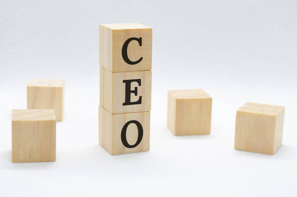 Testo CEO su blocchi di legno su sfondo bianco con spazio personalizzabile per testo o idee. Concetto aziendale. - Foto, immagini