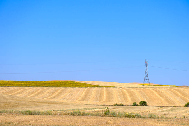 Campo con cultivos de cereales y girasoles con líneas eléctricas de alta tensión en España. - Foto, imagen