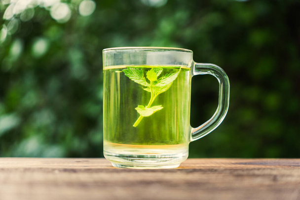čirý skleněný šálek čaje na stole se zelenými listy pozadí s měkkým slunečním světlem v dopoledních hodinách, dává čerstvý pocit relaxační a klidné, s prostorem pro text. horký bylinný nápoj - Fotografie, Obrázek