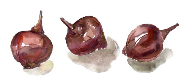 Violet onions food - Foto, Imagem