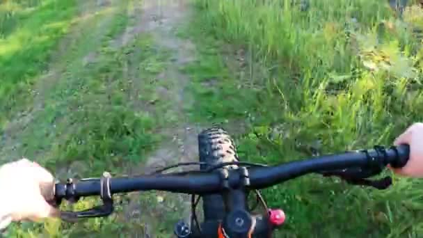 Mujer de mediana edad montando una bicicleta de neumáticos gordos en el bosque - Imágenes, Vídeo