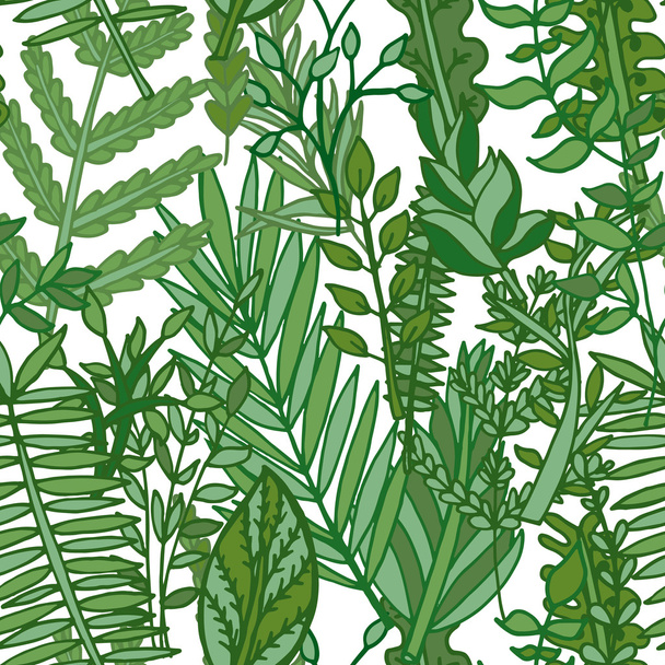 Herbal, leaves pattern - Vector, Imagen