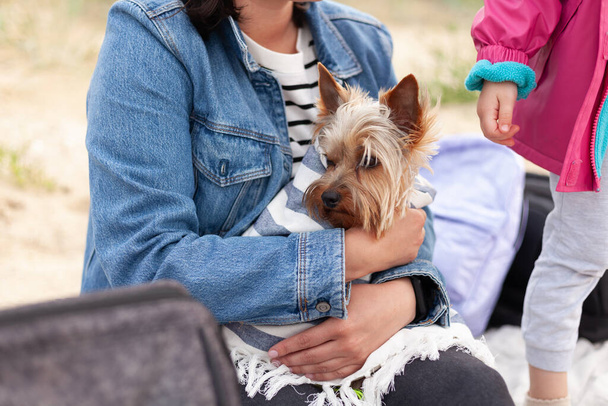 Cute little girl and her mother with Yorkshire Terrier dog outdoors - Photo, Image