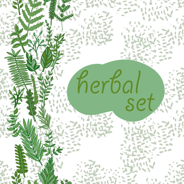 Herbal border pattern. - Vector, Imagen