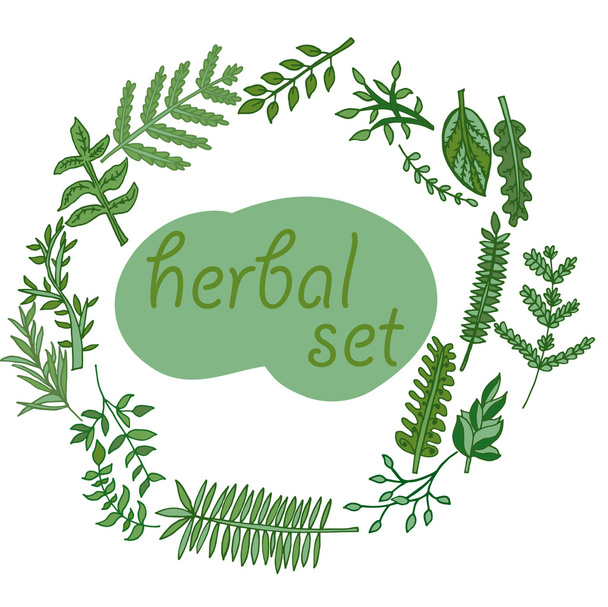 Herbal set icons - Vector, Imagen