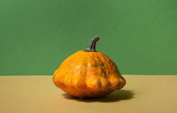 Fresh pumpkin on colorful background - Photo, Image