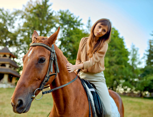 Een vrouw streelde zachtjes een paard op een grasveld te midden van landelijke landschappen. Een portret van een jonge jockey benadrukt boerderijtraining en een outdoor zadelsportopstelling. Paardrijden, paardrijden - Foto, afbeelding