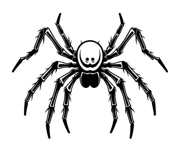 Spider insect sketch hand drawn Halloween Vector - Vector, Image