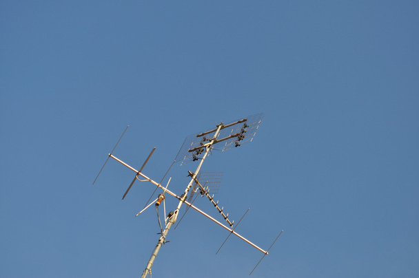 TV-Antenne - Foto, Bild
