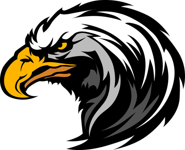 Cabeza gráfica de una mascota de águila Vector Ilustración
 - Vector, imagen