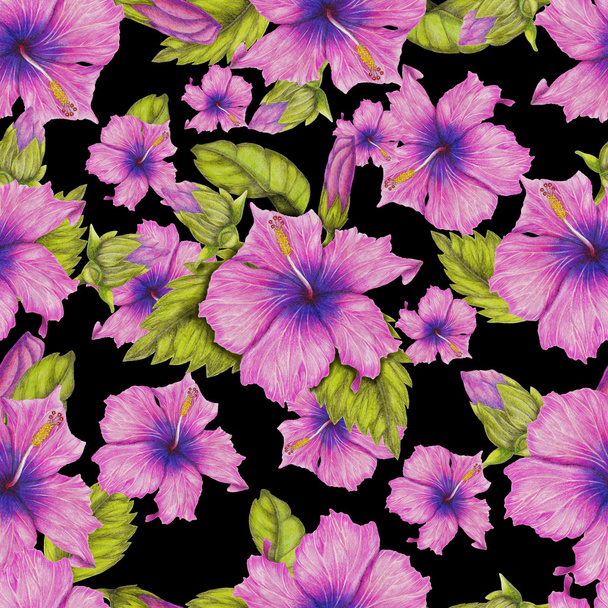 Patrón de Hibiscus
 - Foto, Imagen