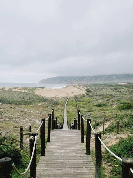 trap naar de oceaan door de bush in de Cascais in Lissabon Portugal. Hoge kwaliteit foto - Foto, afbeelding