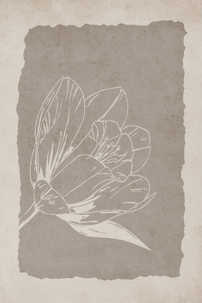 Bedruckbare trendige botanische Karte. Verwendung für Cover, Tapete, Wandkunst.  - Foto, Bild
