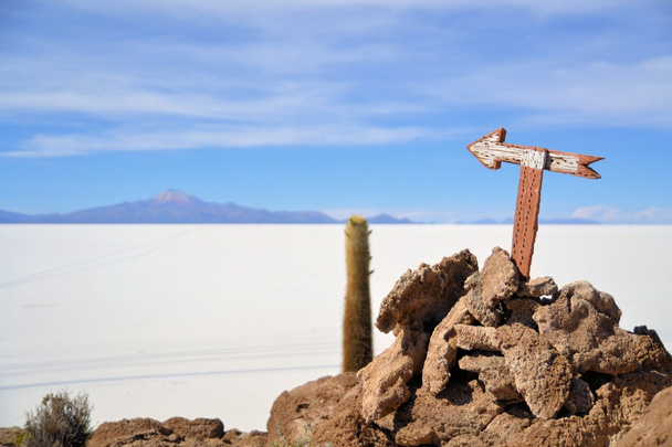 Cactus Island Incahuasi en Uyuni Salt Flats
 - Foto, Imagen