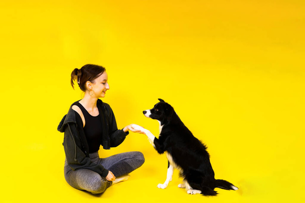 Valkoihoinen nainen kouluttaa collie-koiraa. Ihmisten ja eläinten välisen suhteen käsite. - Valokuva, kuva