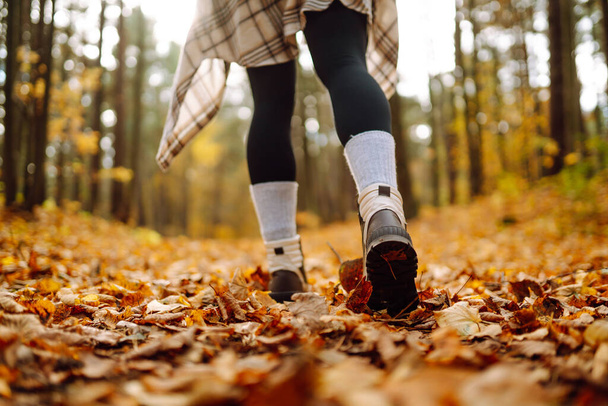 Woman's legs in boots in autumn foliage. Leaf fall. A woman tourist walks through fallen leaves in the autumn forest. Lifestyle concept. - Фото, изображение