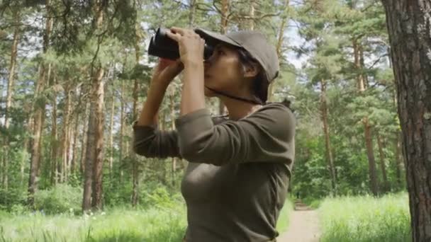 Μέτριο πλάνο των νέων ισπανόφωνων γυναικών δασοφύλακας σε χακί t-shirt και καπέλο στέκεται σε κωνοφόρα δάσος το καλοκαίρι, και βλέποντας τα πουλιά και τους σκίουρους μέσα από κυάλια - Πλάνα, βίντεο