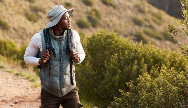 Hiking, thinking or black man in nature, forest or wilderness for trekking journey or adventure for freedom. Bush, holiday or African hiker walking in park or woods for exercise, fitness or wellness. - Photo, Image