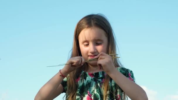 Kislány játszik vad szántóföldi növények nyáron - Felvétel, videó