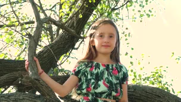 Schattig vijfjarig meisje zittend aan een boom in de zomer in de natuur. - Video