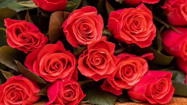 赤いバラ。祝日にお祝いの赤いバラの花束 - 写真・画像
