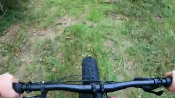 Keski-ikäinen nainen ratsastus rasvaa rengas pyörä metsässä - Materiaali, video