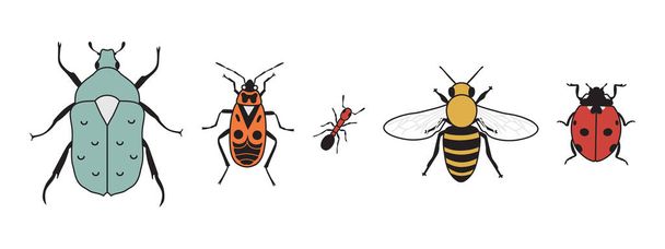 Leuke insecten in vintage cartoon stijl. Vuurwants, mier, bloemchafer, honingbij, lieveheersbeestje geïsoleerd op witte achtergrond. Vectorillustratie - Vector, afbeelding
