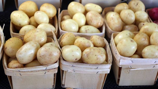 Jean-Talon Marketin valkoiset perunat ovat maanviljelijöiden markkinat Montrealissa. Sijaitsee Little Italy alueella, markkinat rajoittuvat Jean-Talon Street - Valokuva, kuva