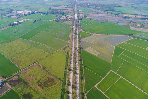 Сельская дорога с зеленым видом на рисовое поле - Фото, изображение