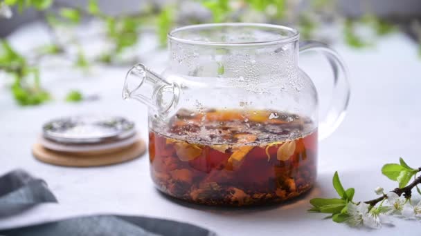 Gyógynövény tea gyömbérrel és gyógynövényekkel párolt üveg teáskannában, világos háttérrel, zöld ágakkal. Az immunitás egészséges italának koncepciója. - Felvétel, videó