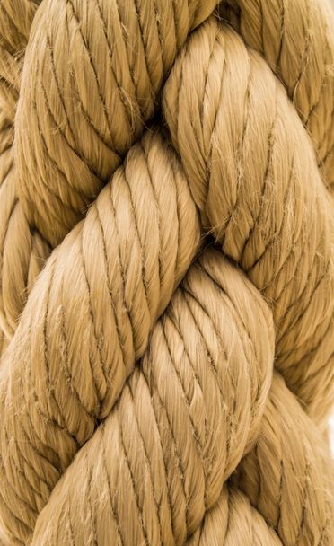 Large Rope Texture - Фото, изображение