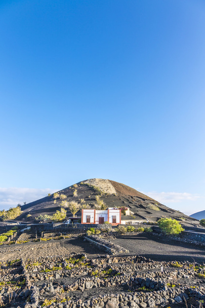 Szőlőültetvények La Geria, Lanzarote, Canary Islands - Fotó, kép