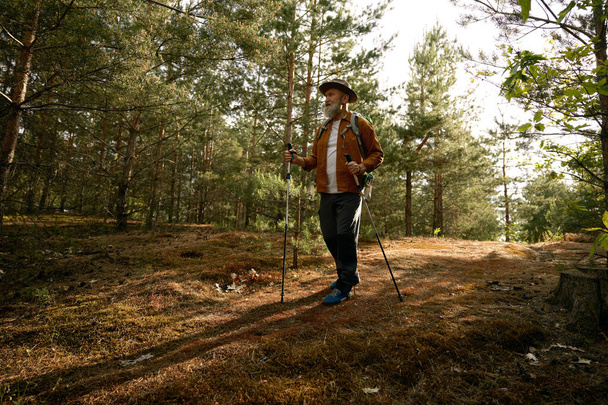 Aktywny mężczyzna w podeszłym wieku korzystający z nordyckich słupów na świeżym powietrzu. Emerytowany starszy mężczyzna spacerowicz cieszący się jesienną wycieczką w lesie - Zdjęcie, obraz