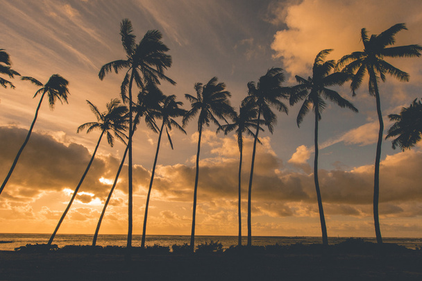 Hawaiianischer Sonnenuntergang - Foto, Bild