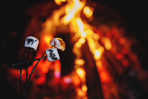 Marshmallows με αποκριάτικες φωτογραφίες πάνω από φωτιά. Αστεία αναψυχή στις παραδοσιακές τρομακτικές διακοπές για τα παιδιά και τις οικογένειες - Φωτογραφία, εικόνα