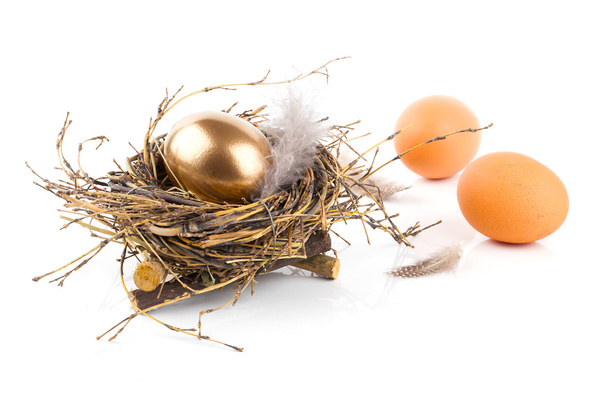 Golden egg in nest on white background - Фото, изображение