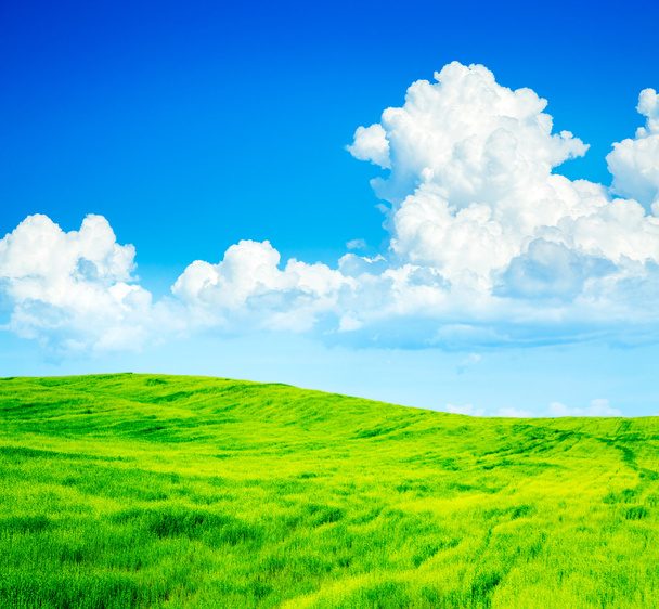Летний пейзаж с зеленым полем и голубым небом
 - Фото, изображение