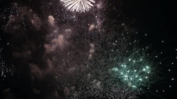 Colorful fireworks display on the night sky. Slow motion.  - Footage, Video