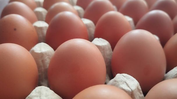 Uova in una scatola di plastica su uno scaffale in un supermercato. Chiudere la scatola delle uova in un supermercato. uova nella confezione. Uova di pollo in una scatola di cartone - Foto, immagini