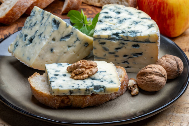 Tasting of cheese, piece of French blue cheese auvergne or fourme d'ambert with blue mold - Photo, Image