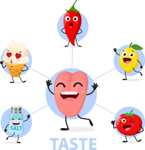 Vektor Illustration der Geschmackssinnesorgane Diagramm Cartoon-Figur - Vektor, Bild