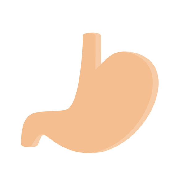 diseño vector imagen iconos estómago - Vector, imagen