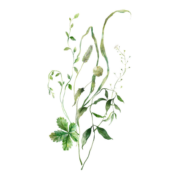 Watercolor meadow bouquet of herbs. Hand painted floral illustration isolated on white background. For design, print, fabric or background - Photo, Image