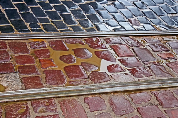 fragment z mokrého dlážděné silnici s tramvajových tratí - Fotografie, Obrázek